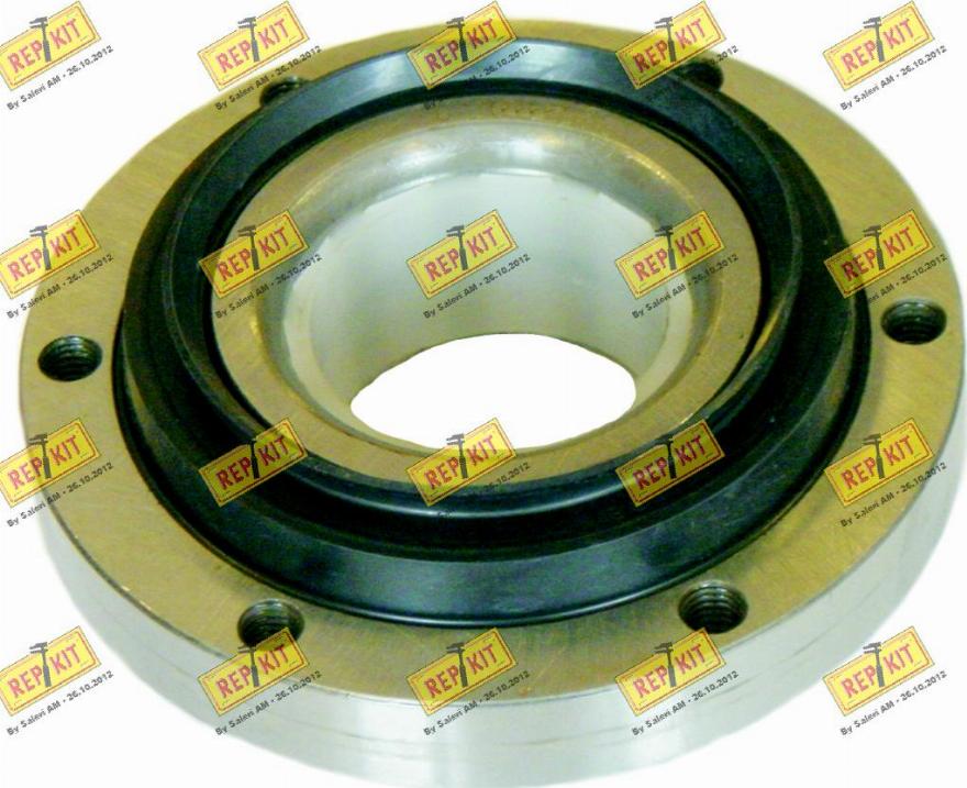 REPKIT RKB1195 - Set rulment roata aaoparts.ro