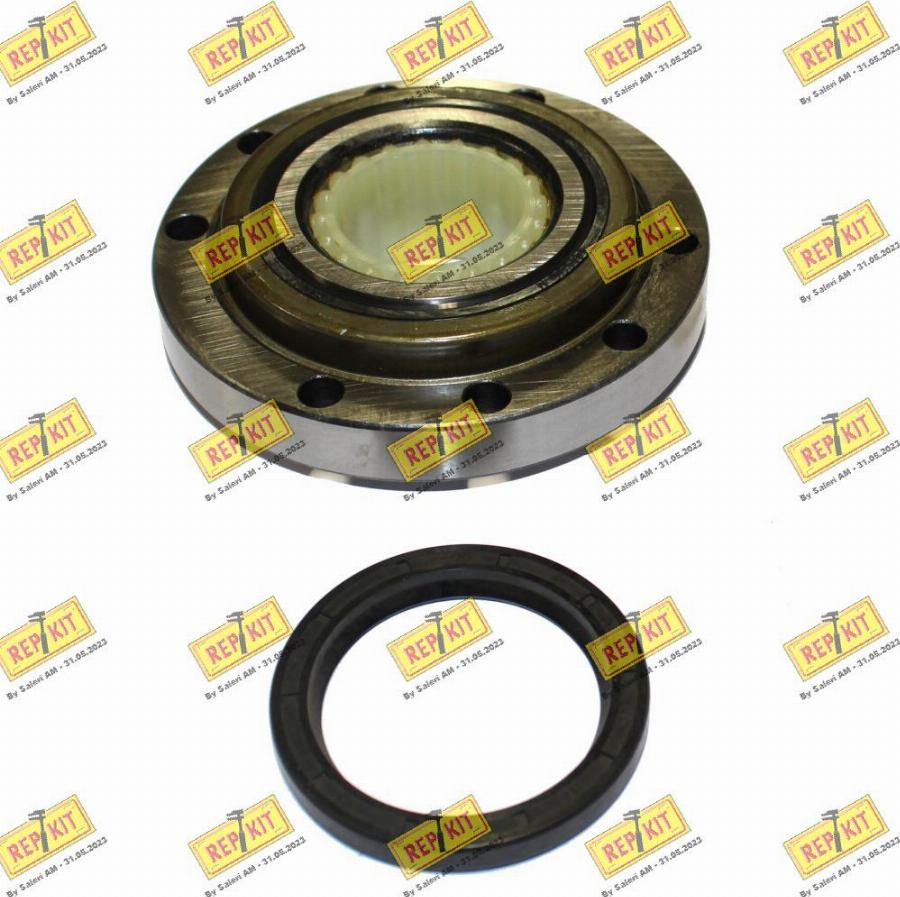 REPKIT RKB1197 - Set rulment roata aaoparts.ro