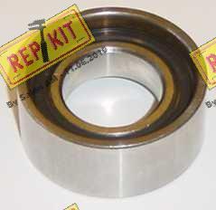 REPKIT RKT1048 - Rola intinzator,curea distributie aaoparts.ro