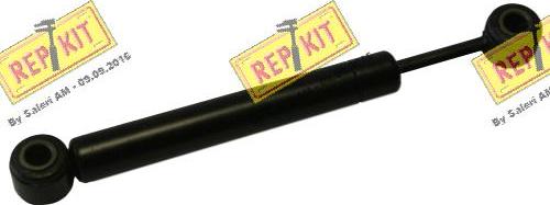 REPKIT RKT3770 - Amortizor vibratii, curea transmisie cu caneluri aaoparts.ro