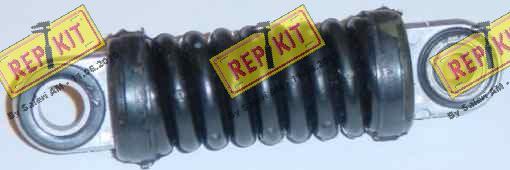 REPKIT RKT2093 - Amortizor vibratii, curea transmisie cu caneluri aaoparts.ro