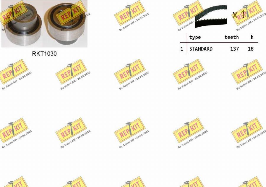 REPKIT RKTK0981 - Set curea de distributie aaoparts.ro