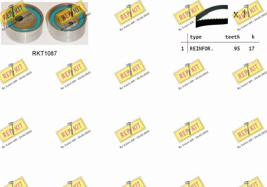 REPKIT RKTK0840 - Set curea de distributie aaoparts.ro