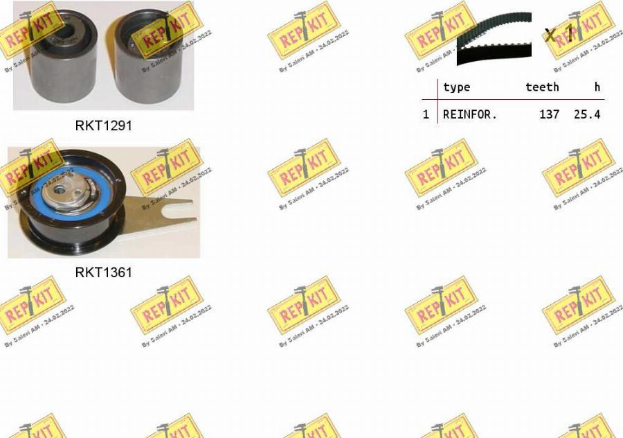 REPKIT RKTK1032 - Set curea de distributie aaoparts.ro
