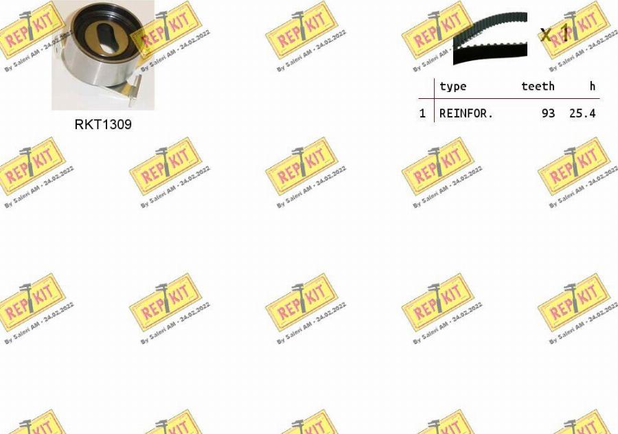 REPKIT RKTK1144 - Set curea de distributie aaoparts.ro