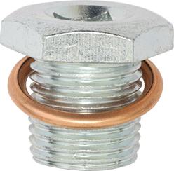 Restagraf 221460 - Surub de golire,baia de ulei aaoparts.ro