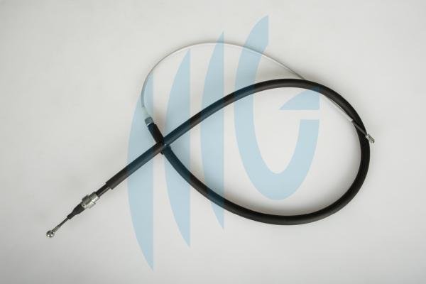 RICAMBIFLEX GM 01020242 - Cablu, frana de parcare aaoparts.ro