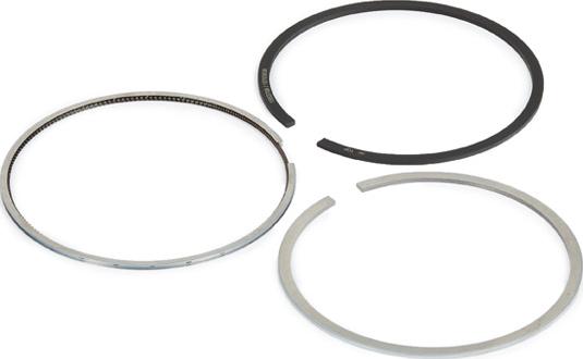 RIDEX 444P0031 - Set segmenti piston aaoparts.ro