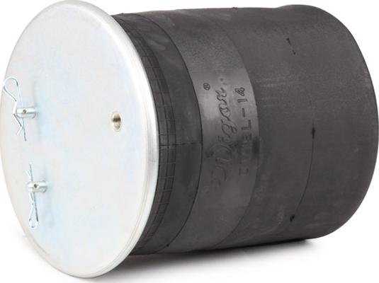 RIDEX 4119A0064 - Burduf, suspensie pneumatica aaoparts.ro