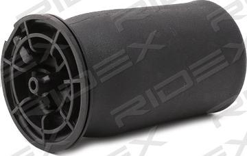 RIDEX 4119A0008 - Arc pneumatic, directie aaoparts.ro