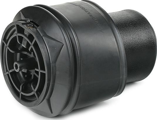 RIDEX 4119A0081 - Arc pneumatic, directie aaoparts.ro