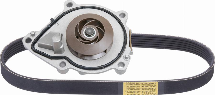 RIDEX 4172P0067 - Pompa apa + Set curea transmisie cu caneluri aaoparts.ro