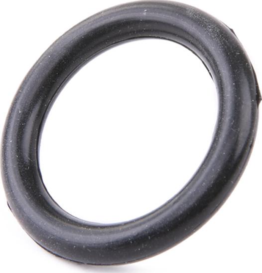 RIDEX 42G0081 - Garnitura, galerie admisie aaoparts.ro