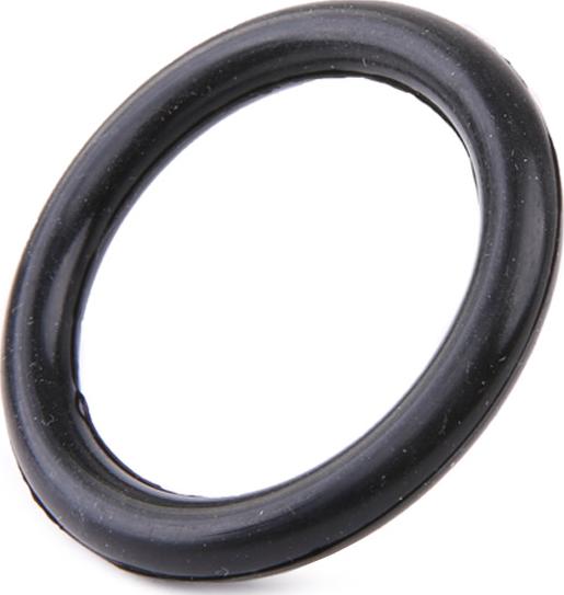 RIDEX 42G0083 - Garnitura, galerie admisie aaoparts.ro