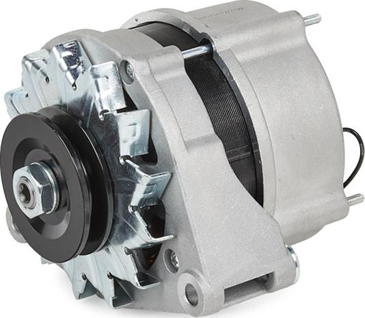 RIDEX 4G1417 - Generator / Alternator aaoparts.ro