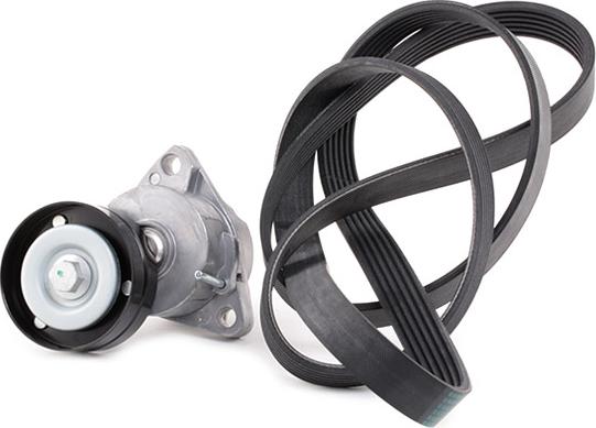 RIDEX 542R0050 - Set curea transmisie cu caneluri aaoparts.ro