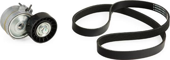 RIDEX 542R0189 - Set curea transmisie cu caneluri aaoparts.ro