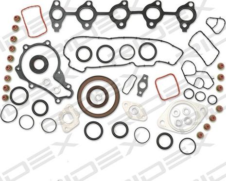 RIDEX 560F0054 - Set garnituri complet, motor aaoparts.ro