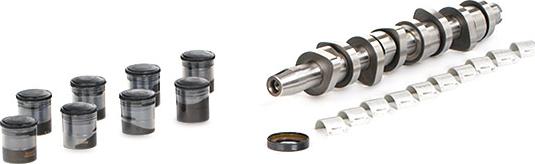 RIDEX 567C0004 - Set ax cu came aaoparts.ro