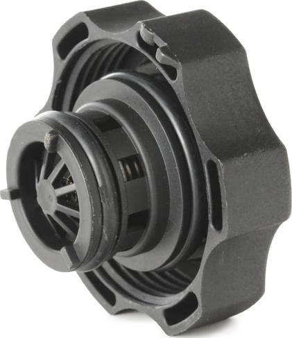 RIDEX 56V0006 - Buson,vas expansiune aaoparts.ro