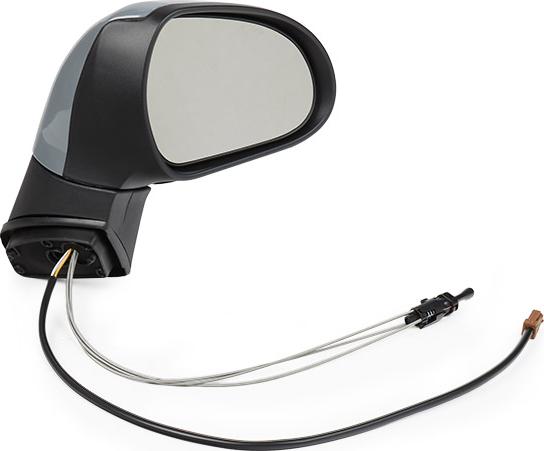 RIDEX 50O0066 - Oglinda exterioara aaoparts.ro