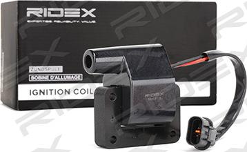 RIDEX 689C0139 - Bobina de inductie aaoparts.ro