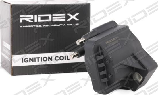 RIDEX 689C0133 - Bobina de inductie aaoparts.ro