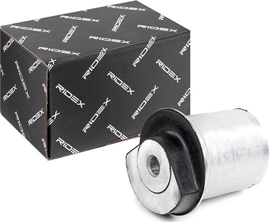 RIDEX 1080M0050 - Suport, ax aaoparts.ro