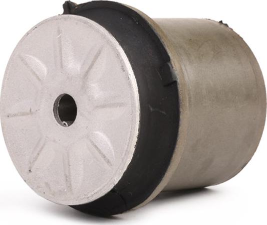 RIDEX 1080M0136 - Suport, ax aaoparts.ro