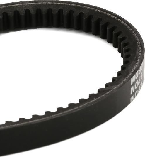 RIDEX 10C0037 - Curea transmisie aaoparts.ro