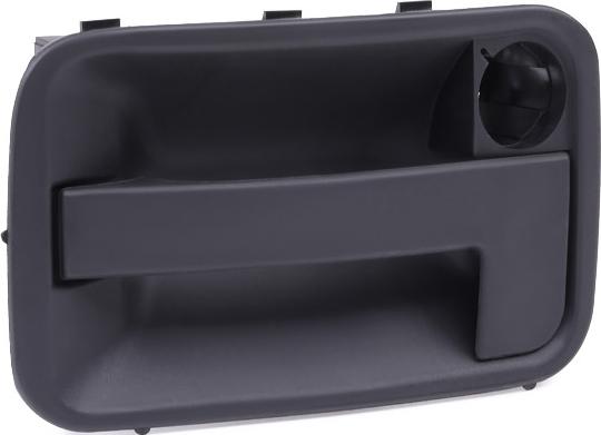 RIDEX 1373D0019 - Maner usa aaoparts.ro