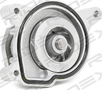 RIDEX 1260W0209 - Pompa apa aaoparts.ro