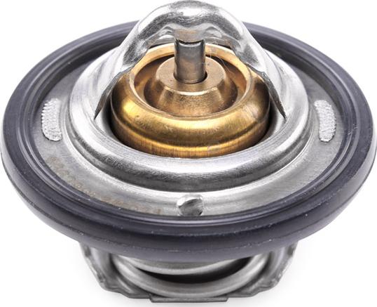 RIDEX 316T0051 - Termostat,lichid racire aaoparts.ro