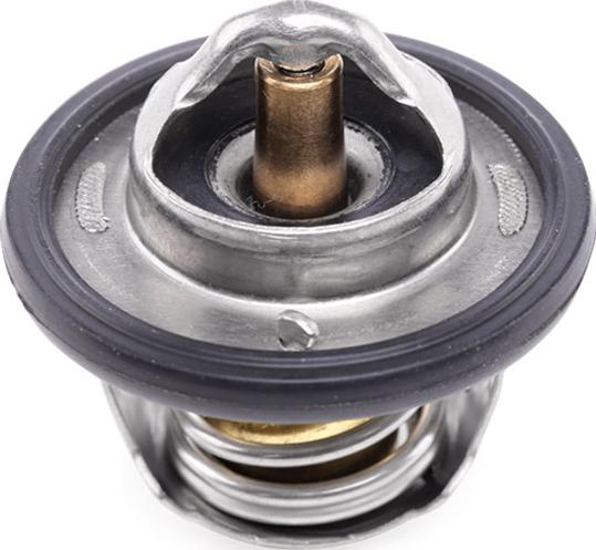 RIDEX 316T0118 - Termostat,lichid racire aaoparts.ro