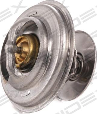 RIDEX 316T0203 - Termostat,lichid racire aaoparts.ro