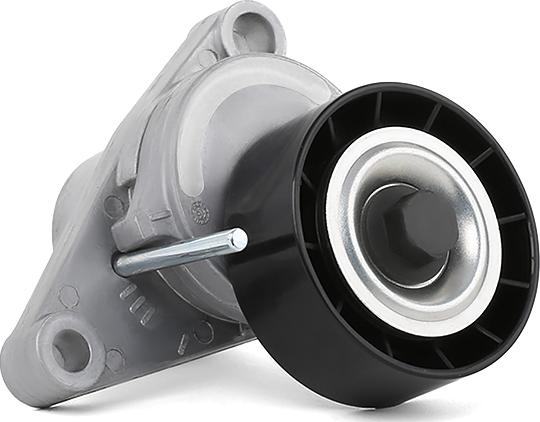 RIDEX 310T0047 - Rola ghidare / conducere, curea transmisie aaoparts.ro