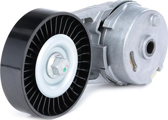 RIDEX 310T0066 - Rola ghidare / conducere, curea transmisie aaoparts.ro