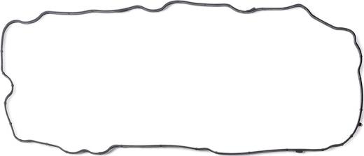 RIDEX 321G0017 - Garnitura, capac supape aaoparts.ro