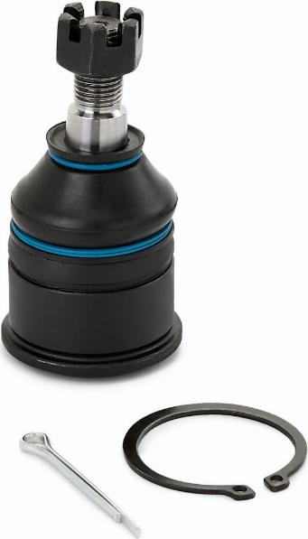 RIDEX 2462S0022 - Articulatie sarcina / ghidare aaoparts.ro