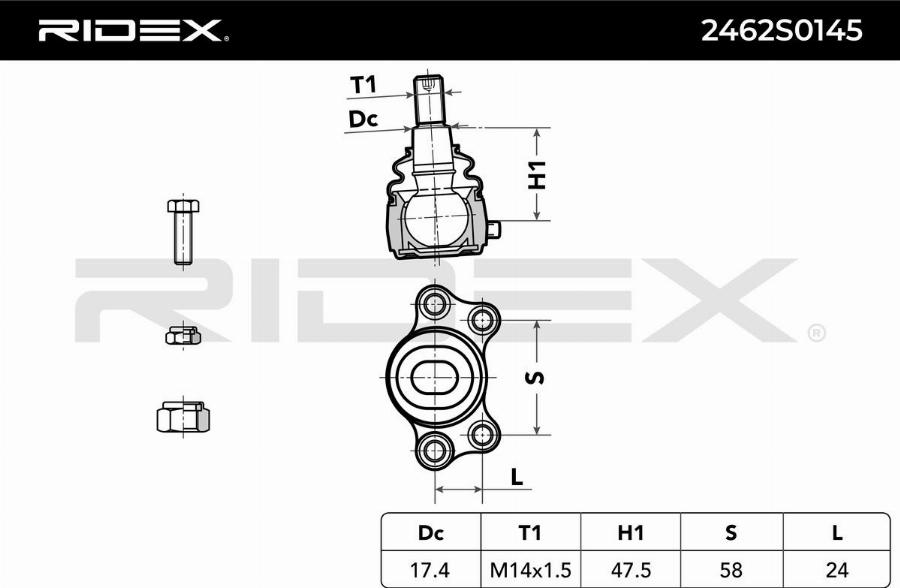 RIDEX 2462S0145 - Articulatie sarcina / ghidare aaoparts.ro