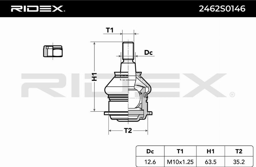 RIDEX 2462S0146 - Articulatie sarcina / ghidare aaoparts.ro