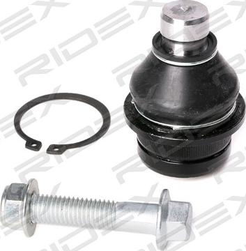 RIDEX 2462S0112 - Articulatie sarcina / ghidare aaoparts.ro