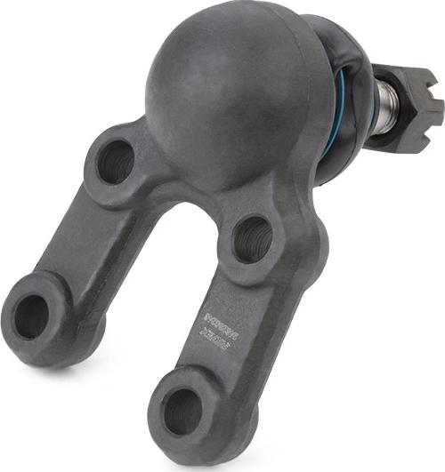 RIDEX 2462S0246 - Articulatie sarcina / ghidare aaoparts.ro