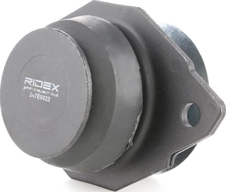RIDEX 247E0022 - Suport motor aaoparts.ro