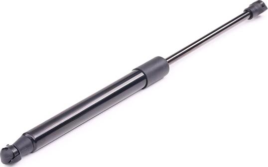 RIDEX 219G0462 - Amortizor, frana parcare actionata cu piciorul aaoparts.ro