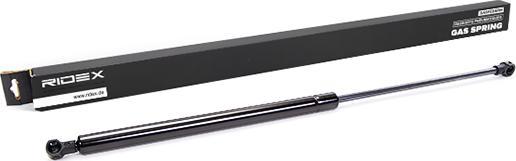 RIDEX 219G0049 - Amortizor portbagaj aaoparts.ro