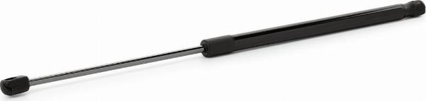RIDEX 219G0049 - Amortizor portbagaj aaoparts.ro
