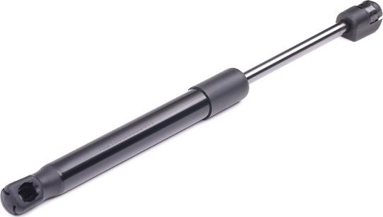 RIDEX 219G0061 - Amortizor portbagaj aaoparts.ro