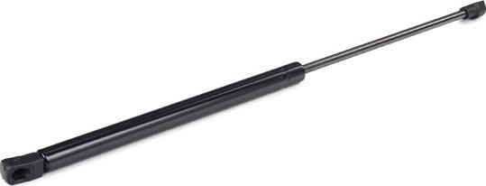 RIDEX 219G0004 - Amortizor portbagaj aaoparts.ro