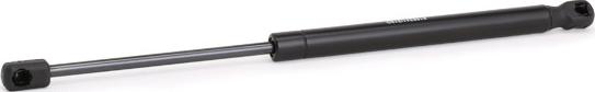 RIDEX 219G0177 - Amortizor portbagaj aaoparts.ro